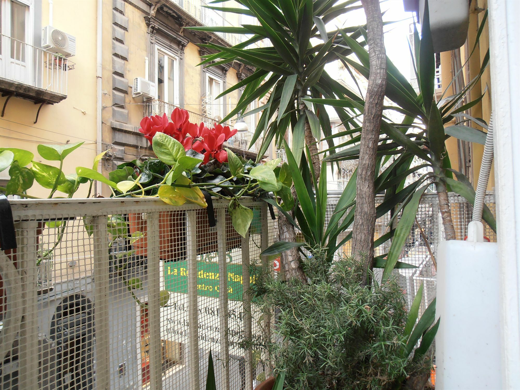 Bed & Breakfast Plebiscito Home Naples Luaran gambar