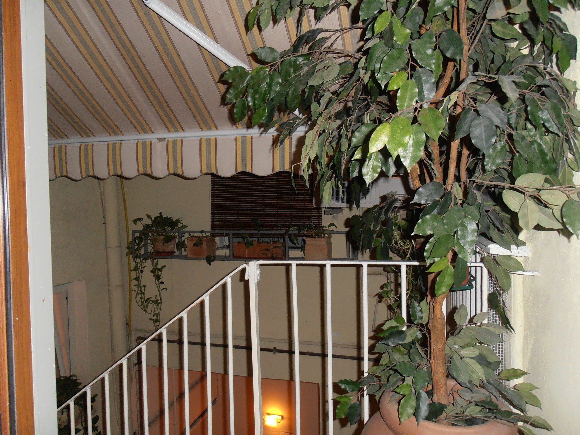 Bed & Breakfast Plebiscito Home Naples Luaran gambar